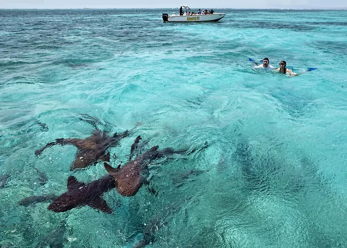 Cayo Espanto 5* San Pedro (Ambergris Caye)