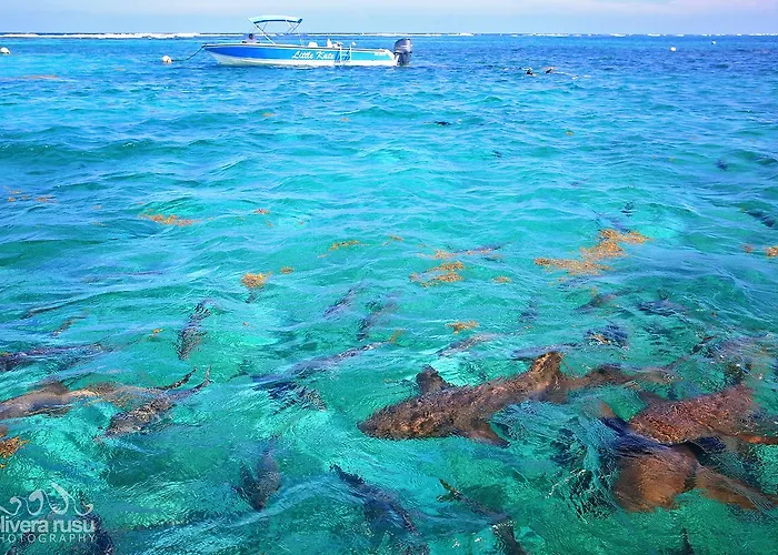 Cayo Espanto