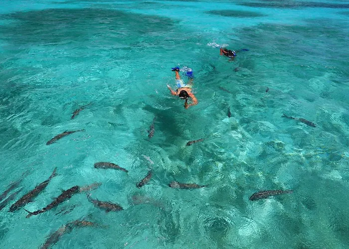 Resort Cayo Espanto San Pedro (Ambergris Caye)